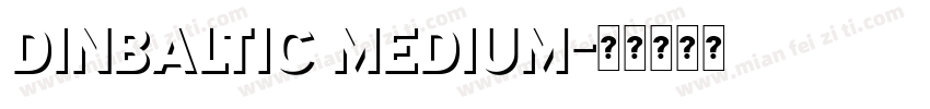 DINBaltic Medium字体转换
